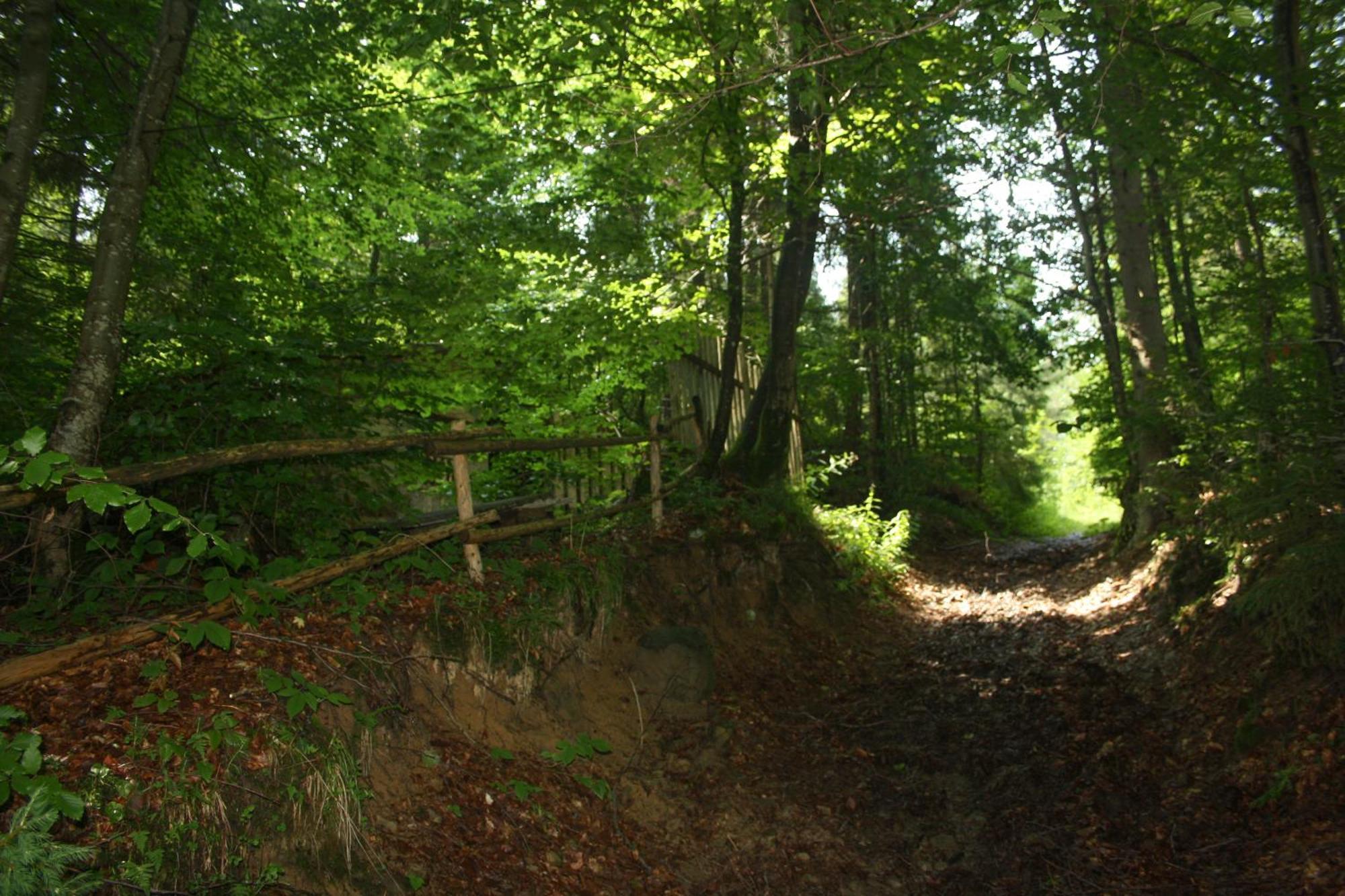 Hotel Zarinok Pilipets Zewnętrze zdjęcie