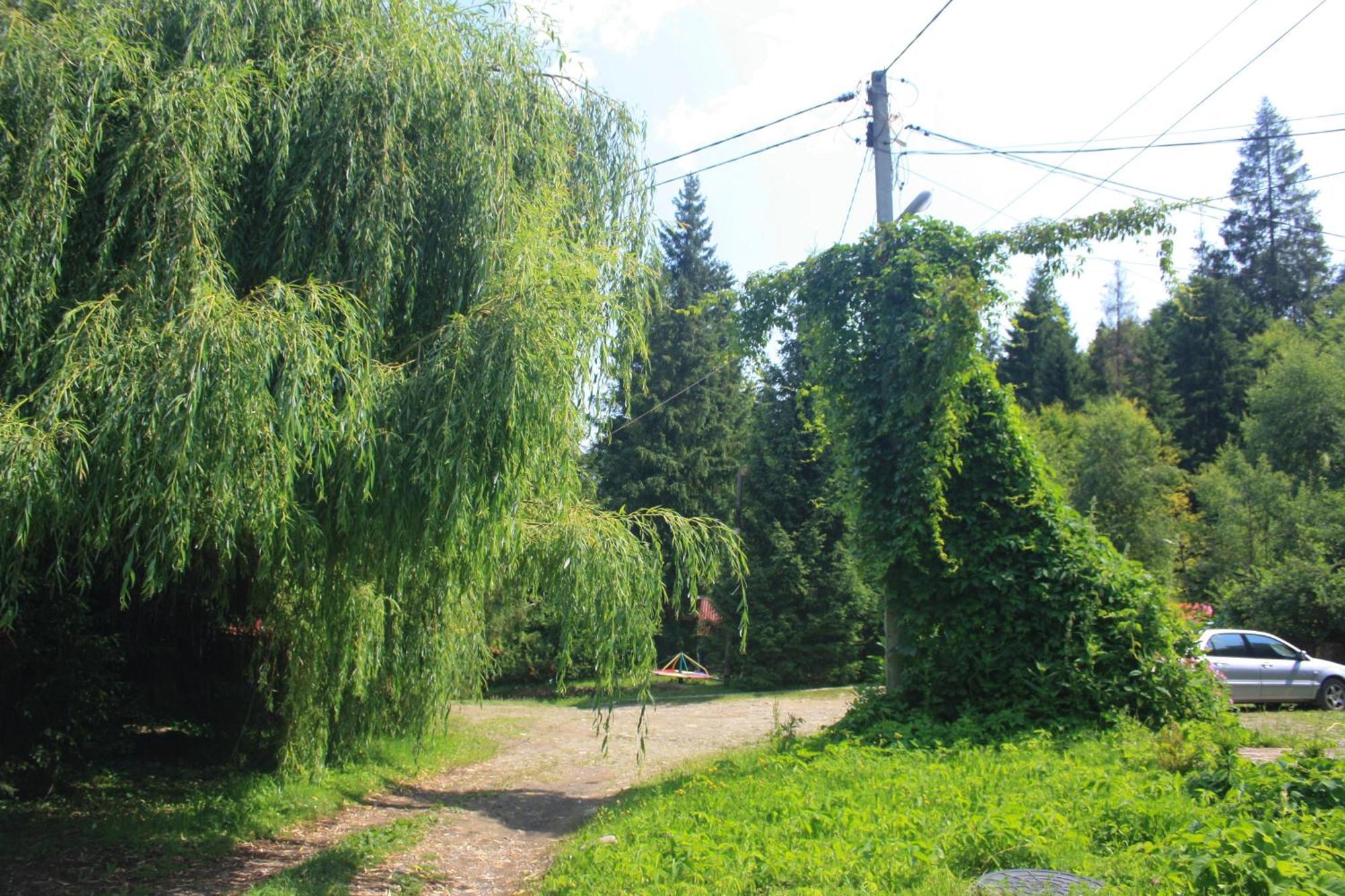 Hotel Zarinok Pilipets Zewnętrze zdjęcie
