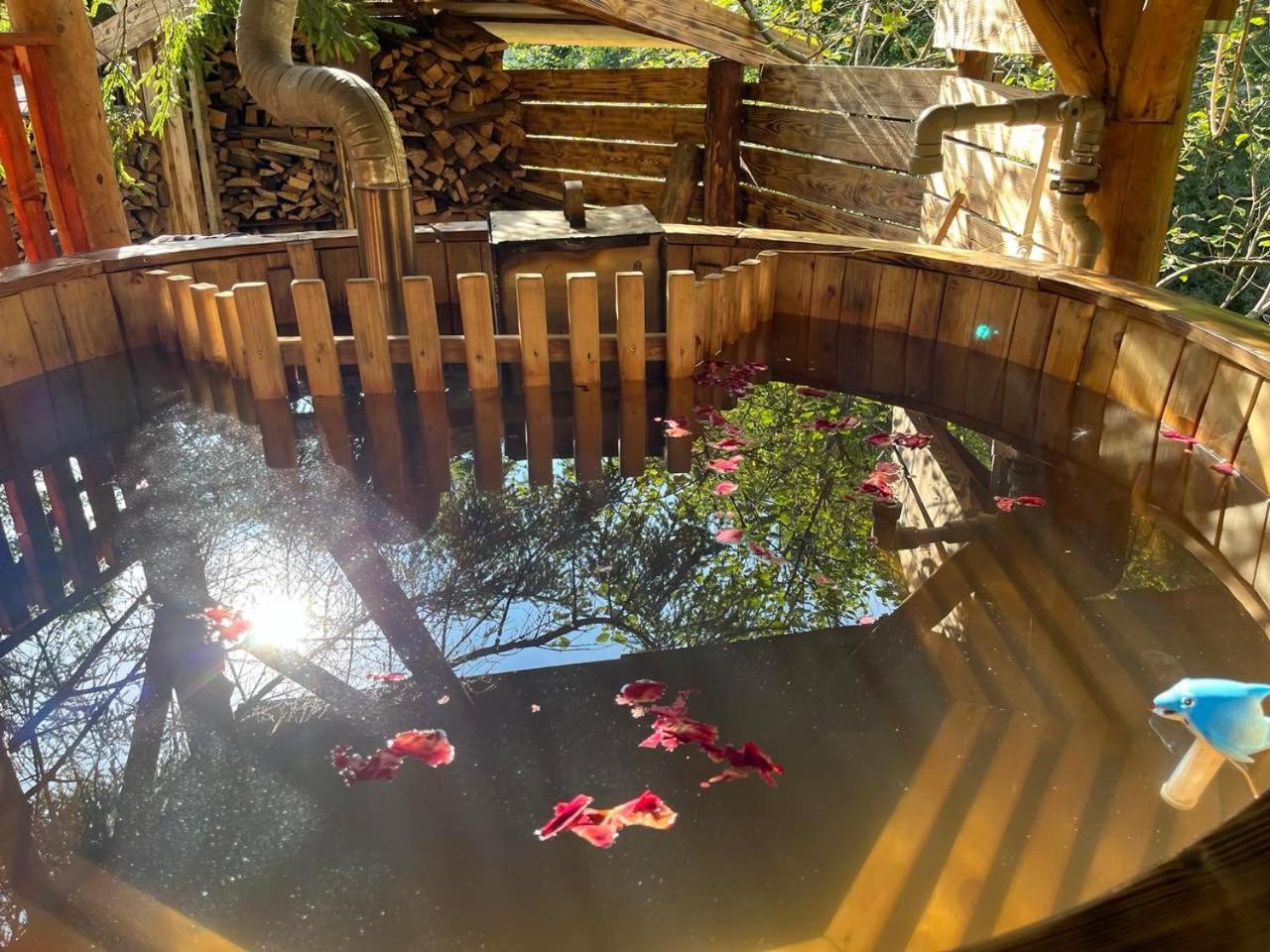 Hotel Zarinok Pilipets Zewnętrze zdjęcie